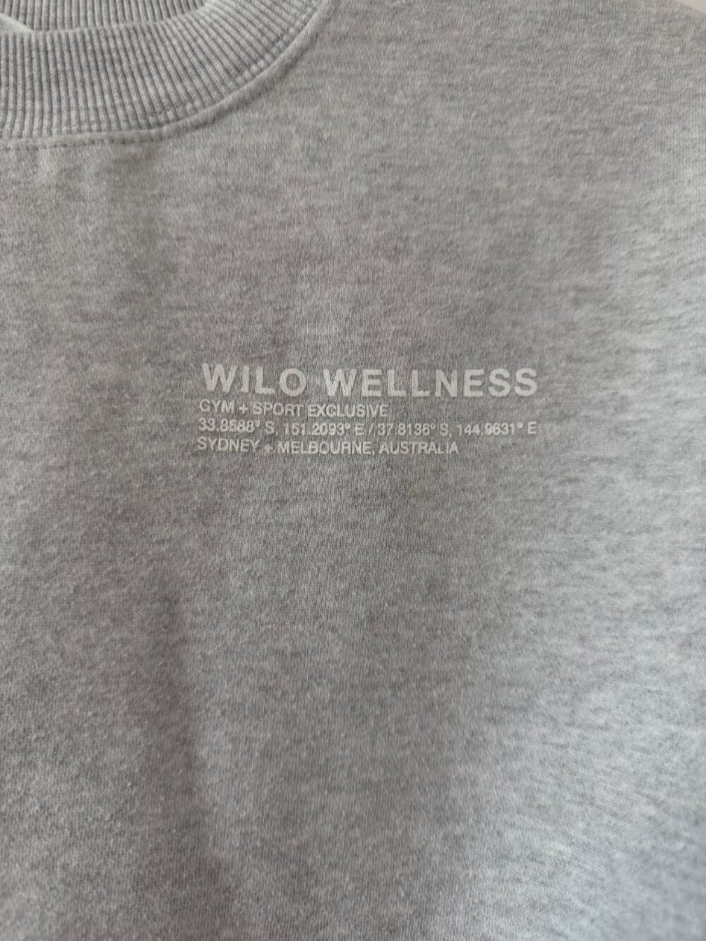 Gray Wilo Sweatshirt - Picture 2 of 5